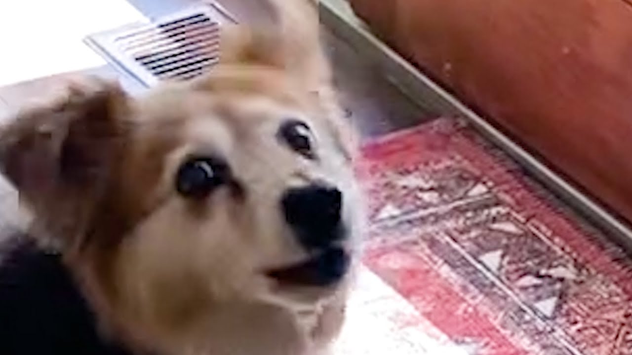 Working My Retail Job From Quarantine