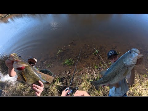 Multiple GIANT BASS where caught in this video!! Christmas Day bass fishing as well as farm ponds 🎣