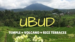 TRIP TO UBUD BALI - VOLCANO🌋, TEMPLES 🙏, RICE TERRACES 🌱- VLOG