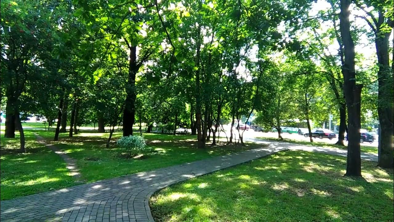 Роликовые коньки взрослые powerslide kaze sc 110 (артикул 908223). Роликовые коньки эстетика. Ролики 1080 качестве. Ролики фиолетовые. Ролики 1080 качестве.
