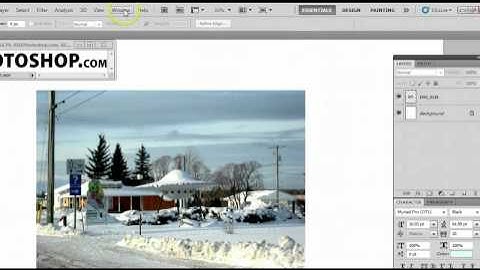 How To Use the Single Column Marquee Tool in Adobe Photoshop