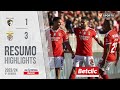 Portimonense Benfica goals and highlights