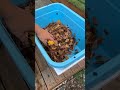オヤブン今までありがとう…
