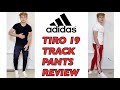 Adidas Tiro 19 Track Pants FIT / REVIEW + TRY-ON ( Adidas Tiro 19 Training Pants )