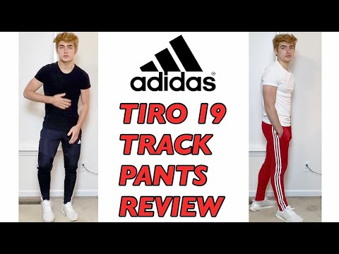 Adidas Tiro 19 Track Pants FIT / REVIEW + TRY-ON ( Adidas 19 Training Pants ) - YouTube