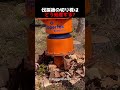 伐採後の切り株はどう処理する
