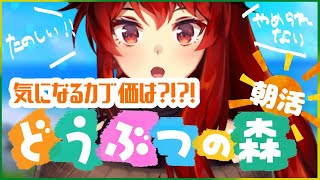 【あつまれどうぶつの森】朝活！気になるカブ価とイースターとわし【にじさんじ/ドーラ】