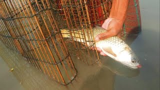 Village Fishing Videos | Bamboo Fishing | Viral Fishing  Videos