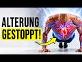 20 Liegestütze täglich ab 45: Das passiert wirklich in deinem Körper!