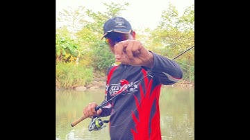 Câu lure cá suối bằng cá sắt #fishing