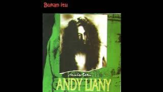 Andy Liany   Bukan itu