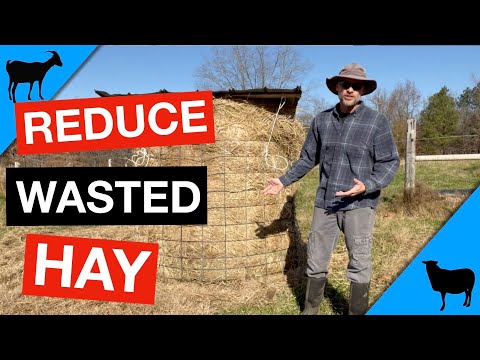 Feeding Round Hay