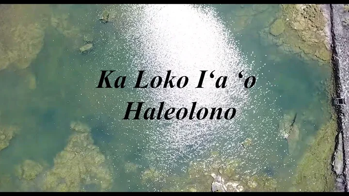 Ka Loko Ia o Haleolono- Epi. 3: What kind of fish do these fishpond attract? and How?