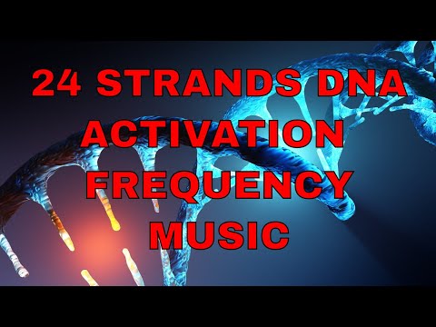 24 Strands DNA