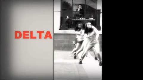 Emory Delta Phi Omega Fall 2012 Recruitment