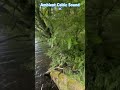 Ambient Celtic Sound, filmed in 🏴 #Scotland #nature #relaxing #ambient #CelticCove