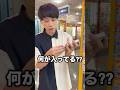 【#ポケカ】1回¥7000のポケカオリパ自販機がヤバかった!! #ポケモンカード