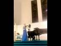 Beethoven, “Kreutzer” Sonata, mov.3 #beethoven #kreutzersonata #violin #piano #classicalmusic