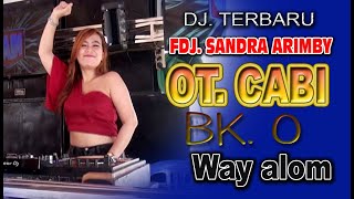Download lagu Mix terbaru...Viral Dj.sandra arimby With Ot.Cabi..live Way Alom BK.0