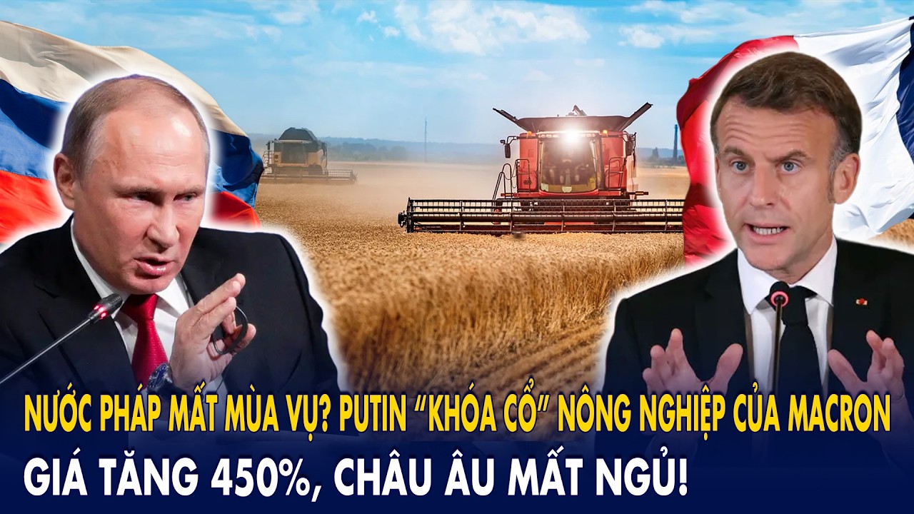 НЕУрожай во Франции? Путин «душит» сельское хозяйство Макрона: цены взлетают на 450%, Европа не с...