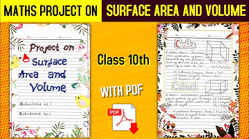 Maths Project File On The Topic Of Surface Area And Volume Class 10th CBSE With PDF.