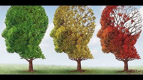 Ch. 7. Memory (Lecture 1 of 4): Introduction to Psychology, MTA PSYC 1001, Week 9, Class 2.