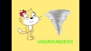 Stephanie Cat Behaves During Tornado Warning