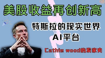 美股收益再创新高 马斯克5000亿身价登顶首富 特斯拉的现实世界AI平台 星链的战略威慑 cathie wood的发家史丨Tesla丨NVIDIA丨OpenAI丨Google
