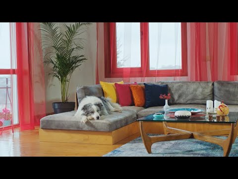 Lider Pet Food