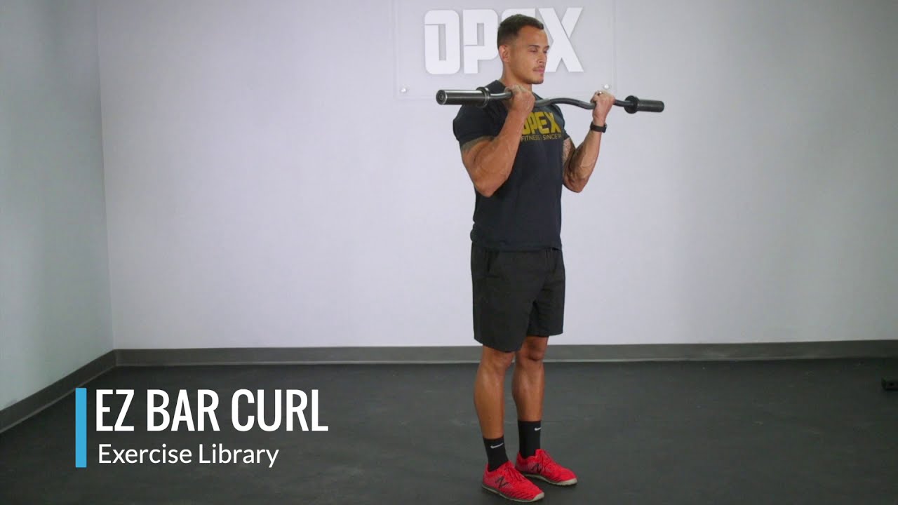 Entrenamiento de brazos: 2 ejercicios con barra Z para bíceps