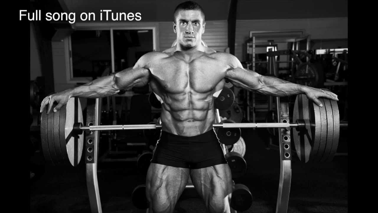 Фото бодибилдеров. Качалка мышц. Бодибилдинг тренировки. Бодибилдинг тренировки. Примоболан в бодибилдинге.