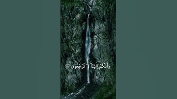 _القرآن الكريم_ ماتيسر _من سورة _ فاطر  #اللهم صل وسلم وبارك على نبينا محمد _