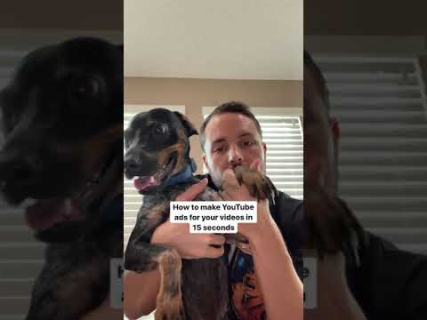 Video: De ce îmi ignoră câinele meu?