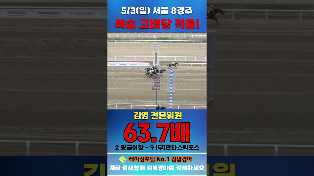 [서울 경마] 5월 3일 일요 8경주 김영 전문위원 복승 고배당 적중 #하이라이트 #horse #한국마사회 #automobile #경마 #비트코인 #뉴스 #게임 #korean#주식
