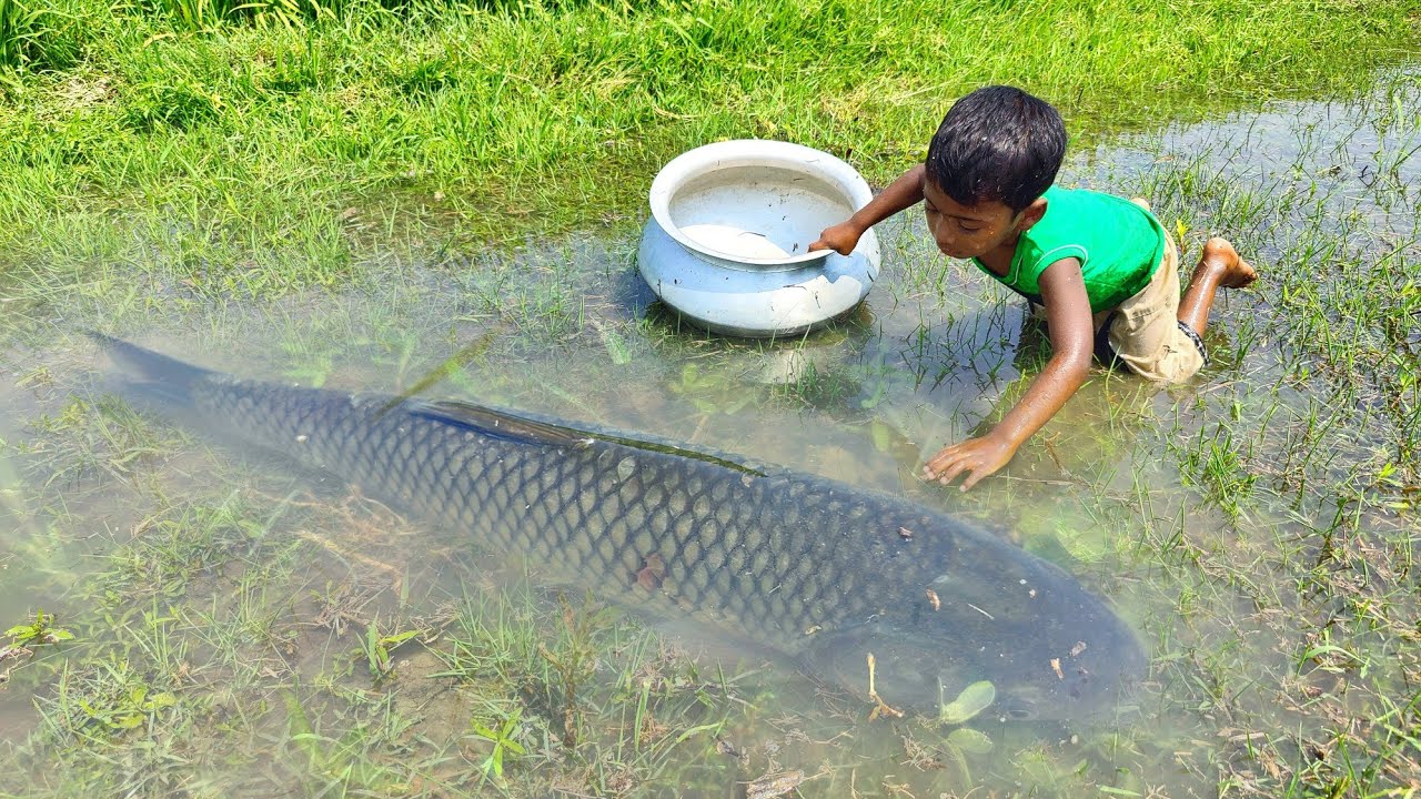 Amazing Hand Fishing Video 2022  Traditional Boy Catching Fish By Hand in  Dry Season Raining Water 