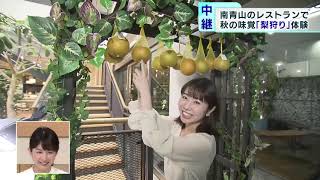 東京・南青山で秋の味覚「梨狩り」体験!?