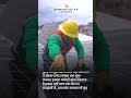 Green Energy For All