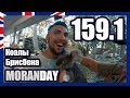 Moran Day 159.1 - Коалы Брисбена (Австралия)