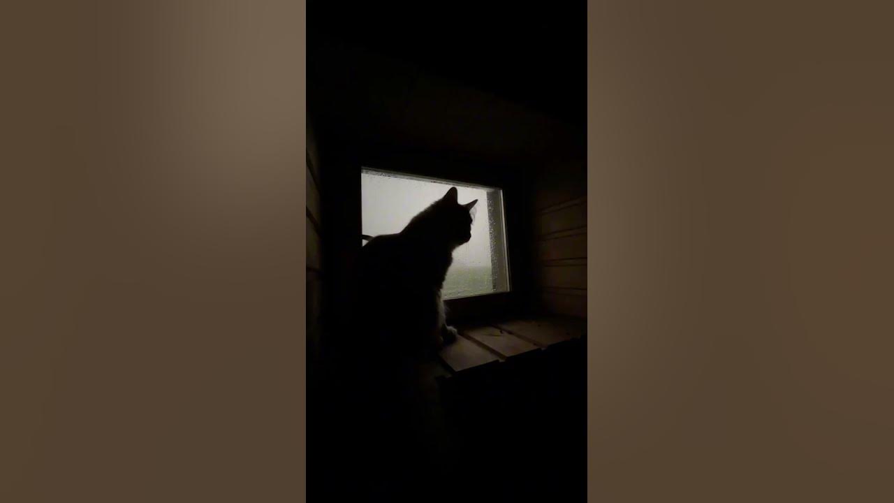 sombr - back to friends (slowed + reverb) sombr - back to friends (slowed + reverb)