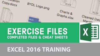 Exercise files completed files & cheat sheets - Excel 2016 [2/24]
