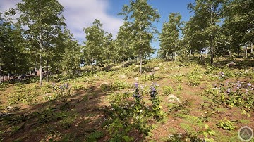 Unreal Engine 5 Procedural Birch Forest