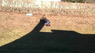 Sledding by Tania Deviller 178 views 6 years ago 1 minute, 1 second