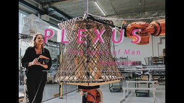 Plexus Master Thesis by Hannah Arkell