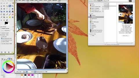 Making rounded corners in the GIMP - 1 no border