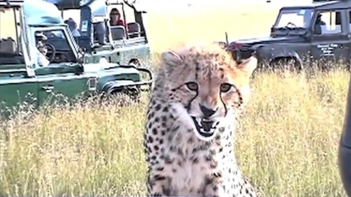 MAN AND BEAST - Part 20