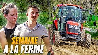 SEMAINE À LA FERME ! Maraichage et Luzerne !