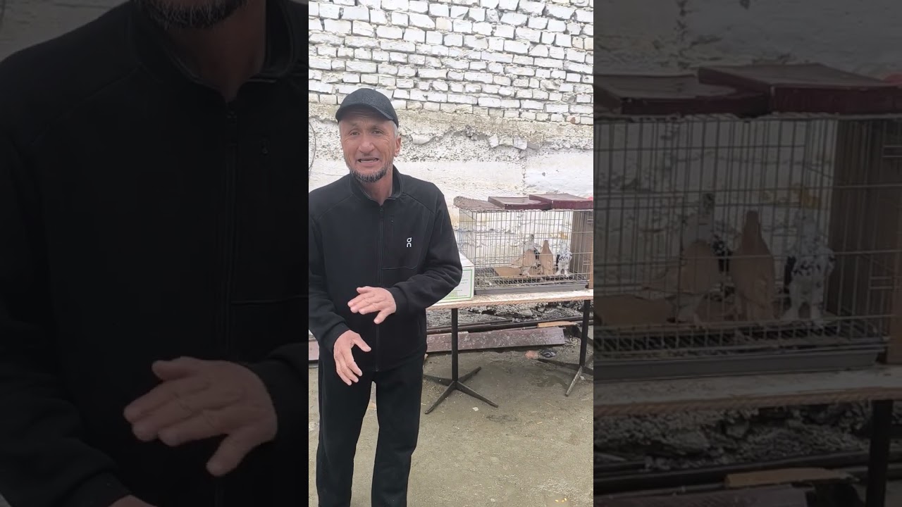 5 марта 2026 г.