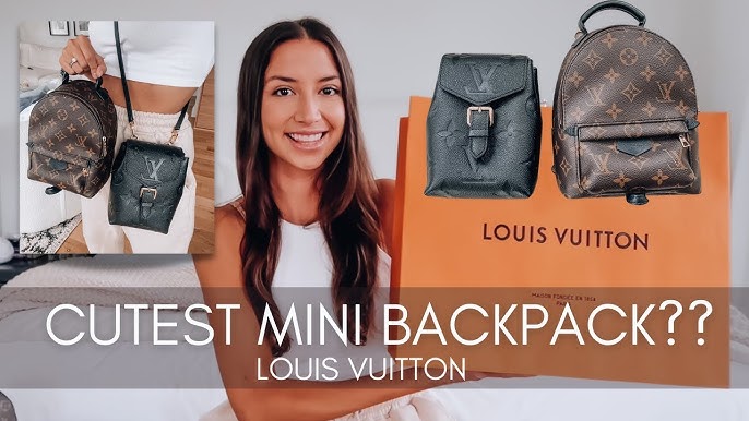 LOUIS VUITTON Reverse Monogram Palm Springs Backpack Mini 172164