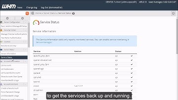 HOW TO CHECK SERVER STATUS AND INFORMATION IN WHM