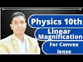 Linear Magnification for Lenses || Convex lense || Class 10th || @PhysicsKingRudra ||